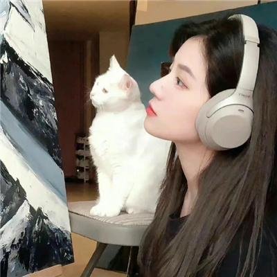 杀入爱情街