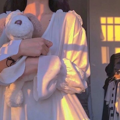 躲在阁楼的安妮·法兰克